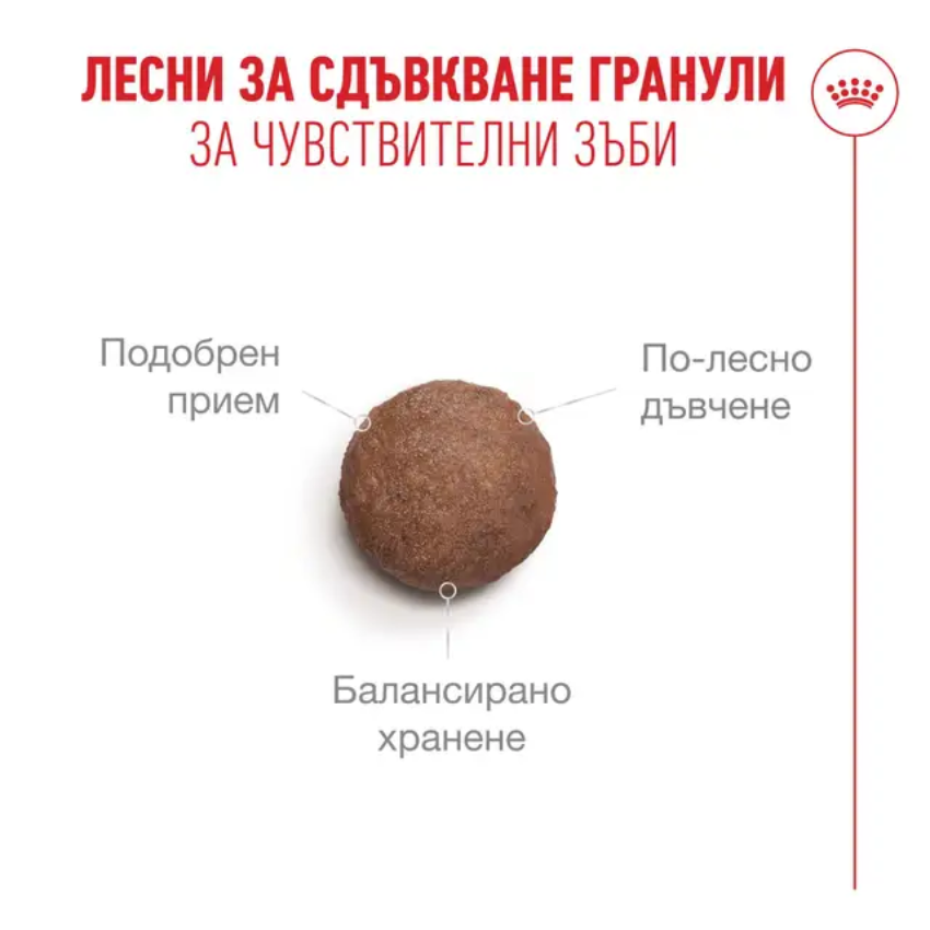 Royal Canin Ageing 11+ - Пълноценна храна за възрастни котки 4 кг