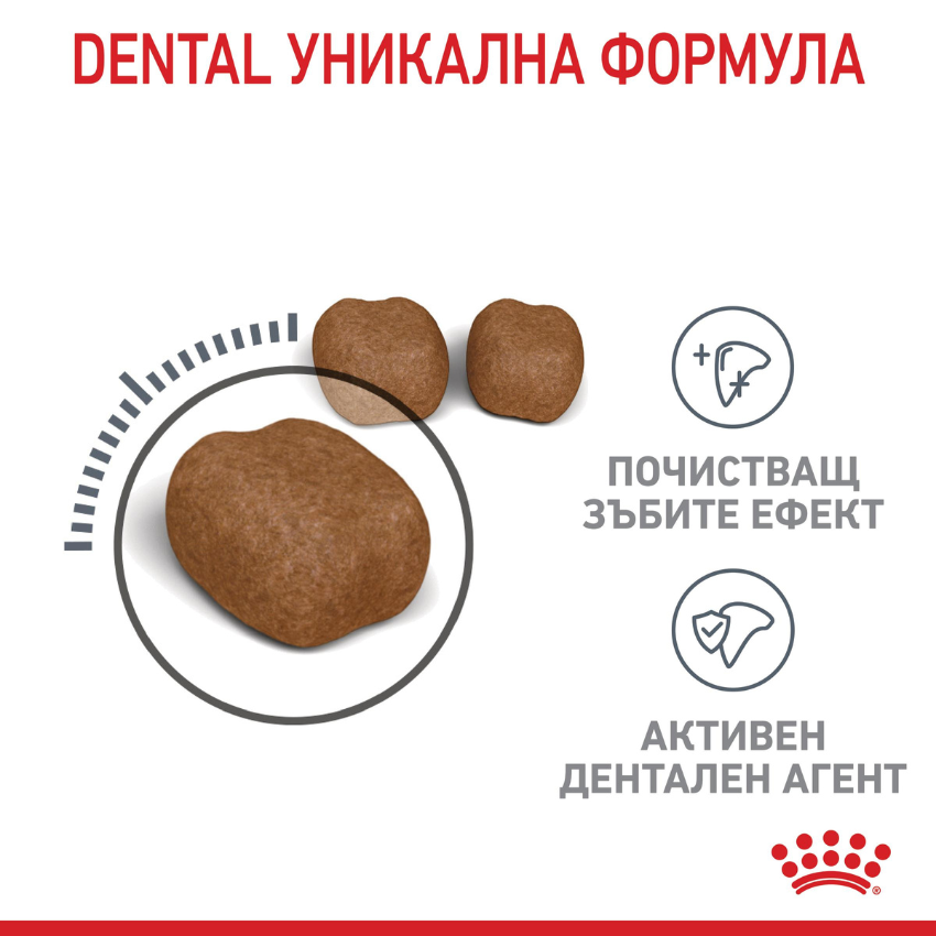 Royal Canin Dental Care - Пълноценна храна за котки с грижа за денталното здраве 8 кг