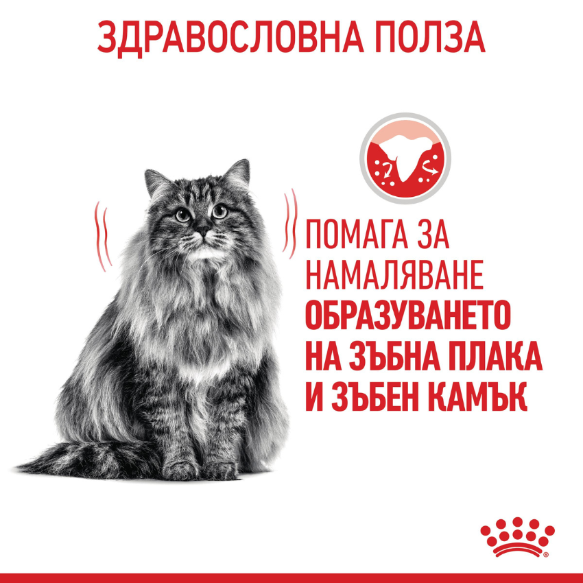 Royal Canin Dental Care - Пълноценна храна за котки с грижа за денталното здраве 8 кг