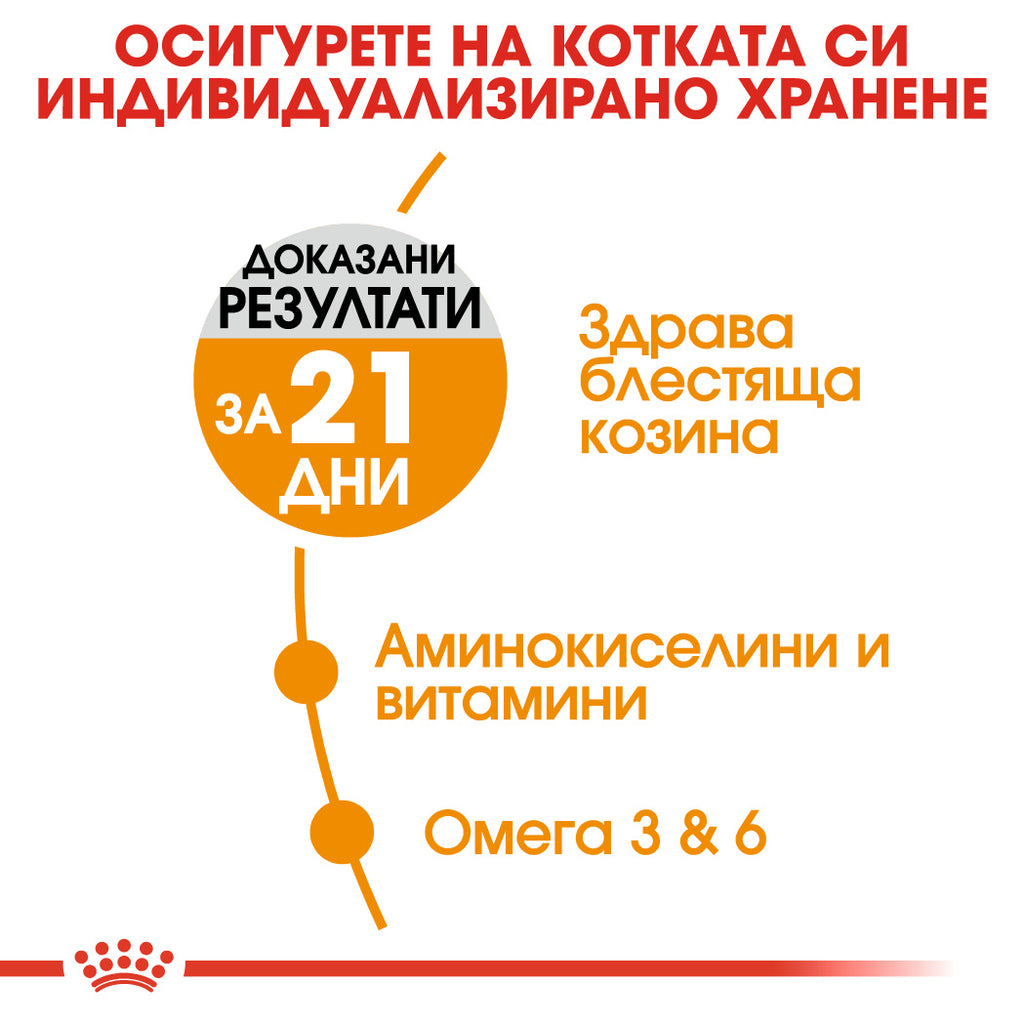 Royal Canin Hair & Skin Care - Пълноценна храна за котки с грижа за кожата и козината 10 кг