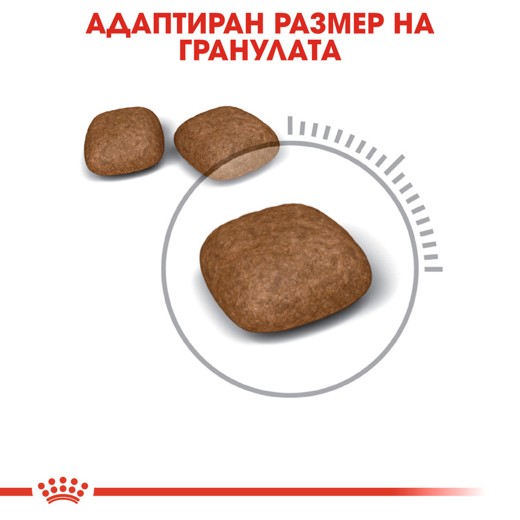 Royal Canin Urinary Care - Пълноценна храна за котки с грижа за уринарния тракт 10 кг