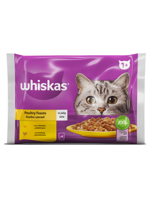 Whiskas Pouch in Jelly - Паучове за котки в желе 4x85гр