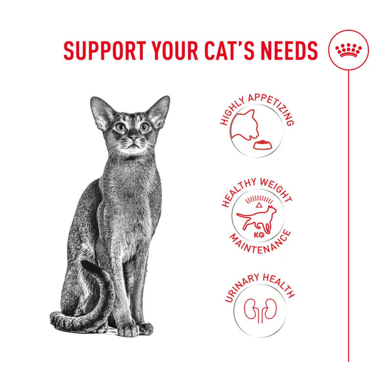 Royal Canin Fussy Exigent - Пълноценна храна за капризни котки 10 кг